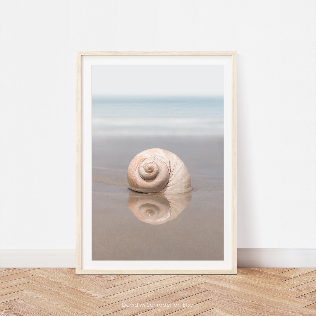 Seashell Printable, Shell Print, Seashell Photo, Shell Photograph ...