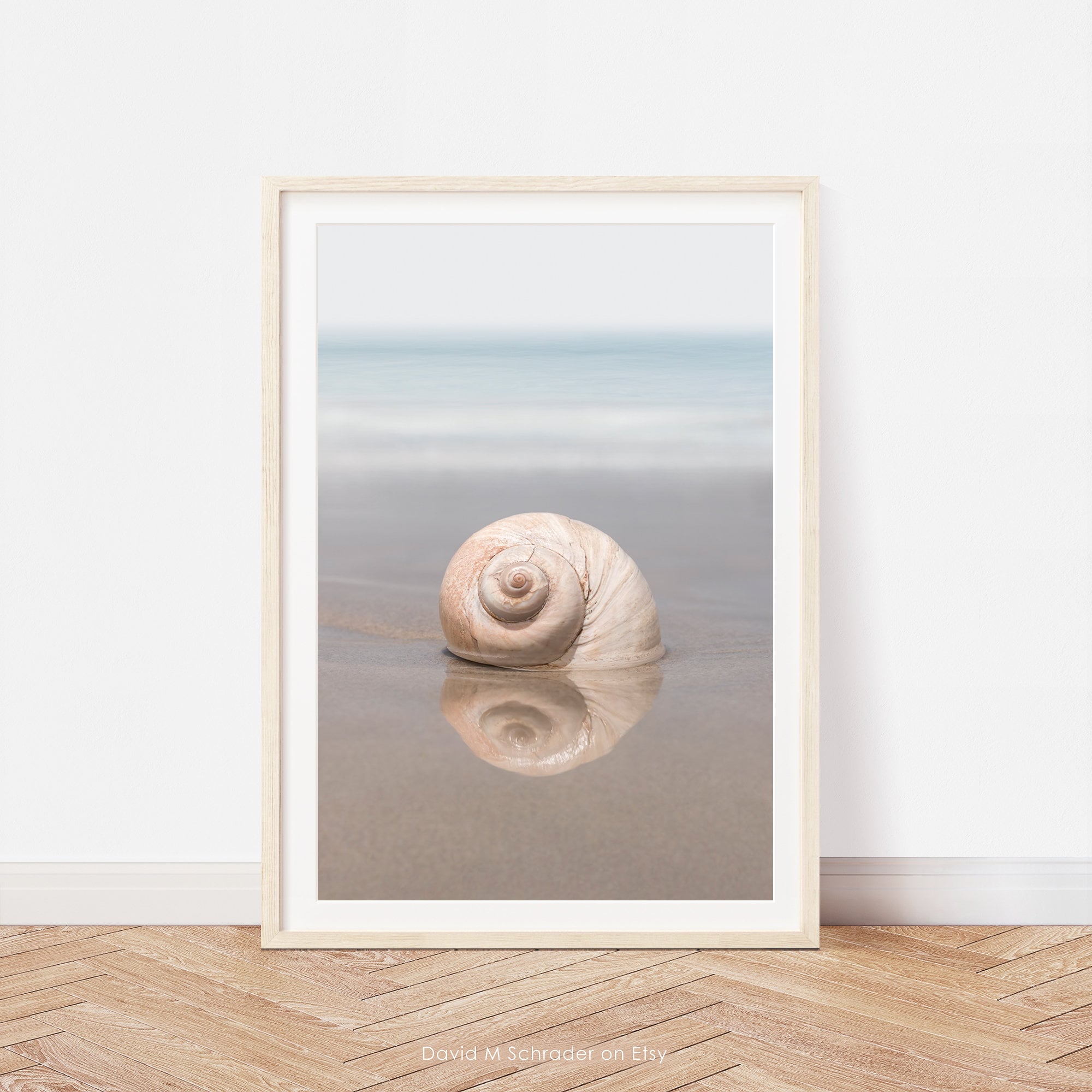 Seashell Printable, Shell Print, Seashell Photo, Shell Photograph ...