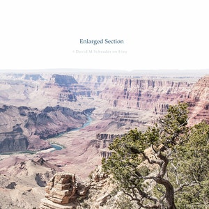 May include: A panoramic view of the Grand Canyon, showing the layered rock formations and the Colorado River winding through the canyon. A lone tree grows on the edge of the canyon, with its branches reaching out towards the vast expanse.