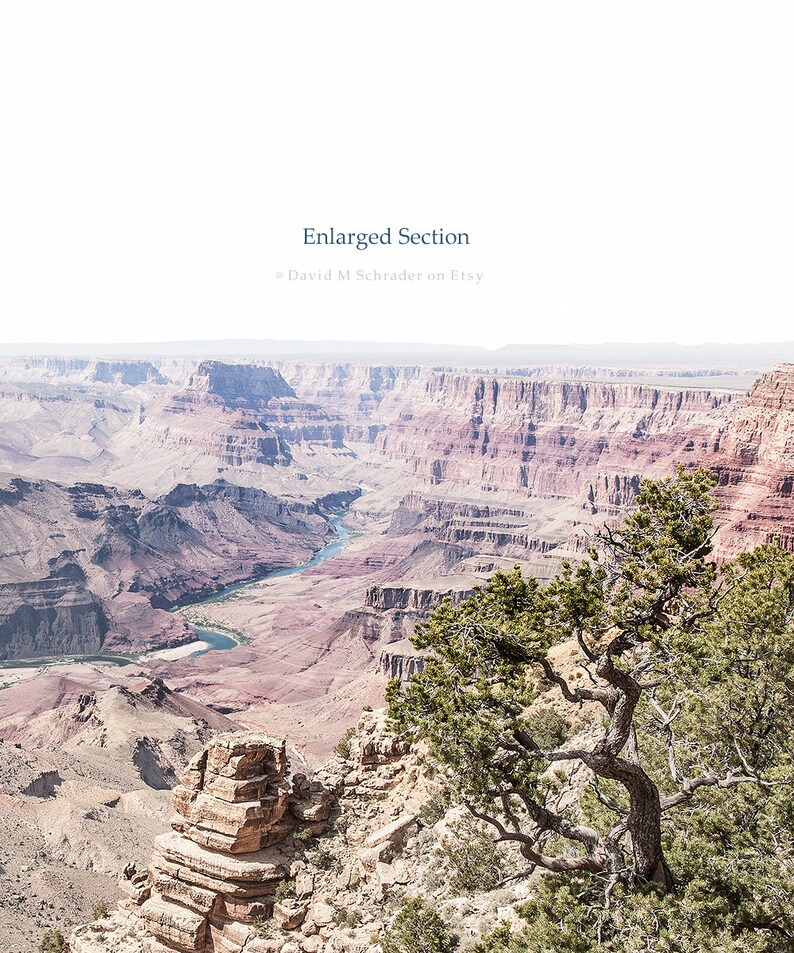 May include: A panoramic view of the Grand Canyon, showing the layered rock formations and the Colorado River winding through the canyon. A lone tree grows on the edge of the canyon, with its branches reaching out towards the vast expanse.
