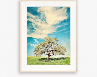 California oak tree landscape print, Retro botanical photograph, Textured cloud photo