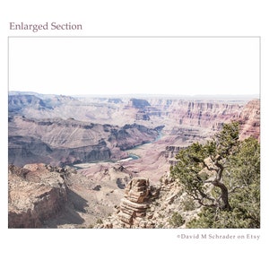May include: A landscape photograph of the Grand Canyon. The image shows the vast canyon with its layered rock formations in shades of brown and red. A river flows through the canyon, and a tree is in the foreground. The text "Enlarged Section" is at the top.