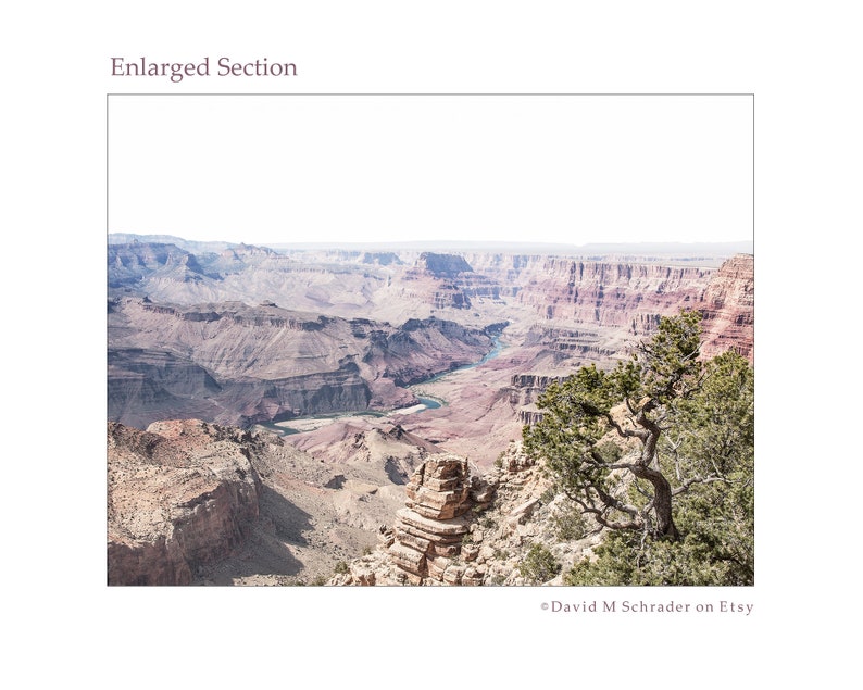 May include: A landscape photograph of the Grand Canyon. The image shows the vast canyon with its layered rock formations in shades of brown and red. A river flows through the canyon, and a tree is in the foreground. The text "Enlarged Section" is at the top.