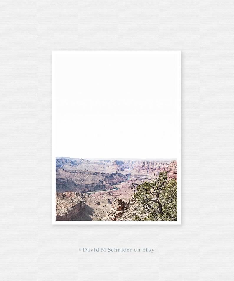 May include: A panoramic view of the Grand Canyon, featuring a winding river snaking through the canyon floor. The canyon walls are a mix of red, brown, and tan, with a lone tree in the foreground.