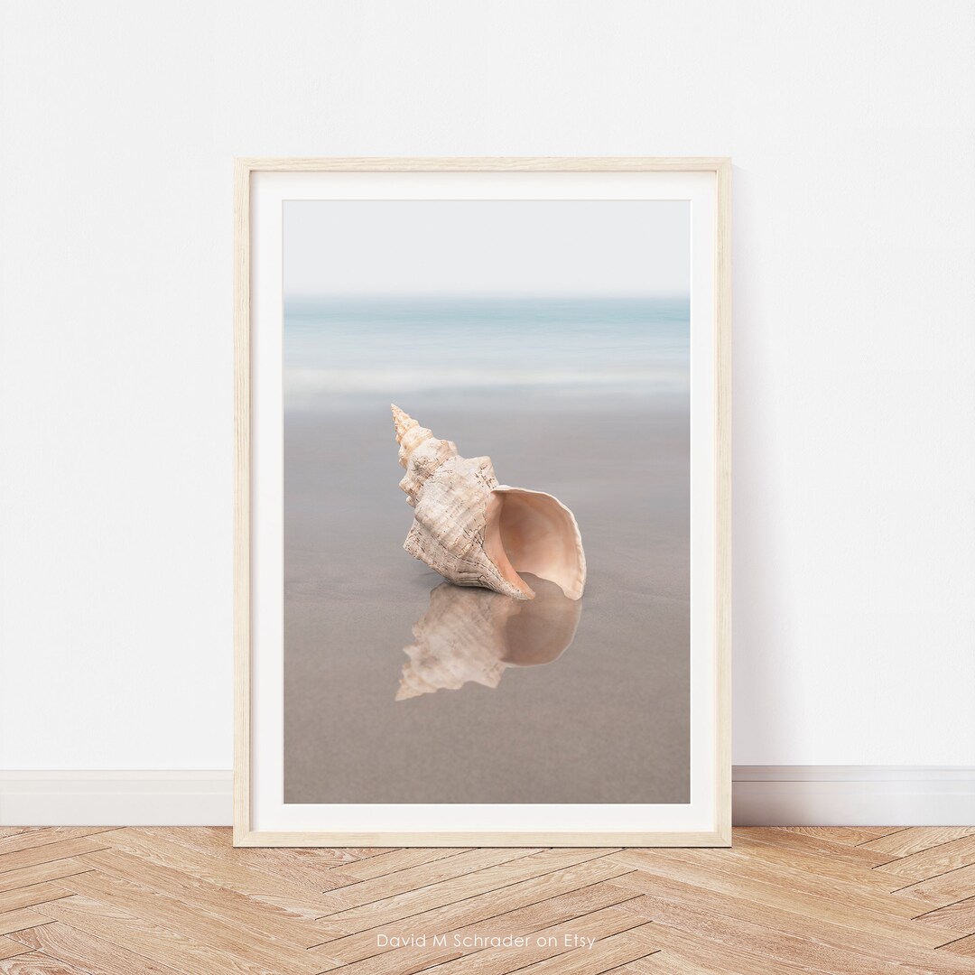 Conch Shell Print, Seashell Printable, Shell Print, Seashell Photo ...