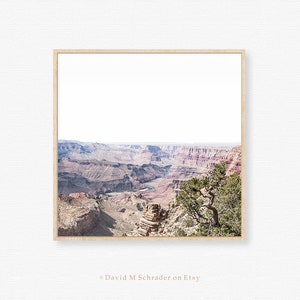 May include: A panoramic view of the Grand Canyon, with a river winding through the canyon floor. The canyon walls are a mix of red, brown, and purple hues, and a lone tree stands on the edge of the cliff.