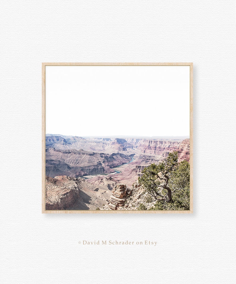 May include: A panoramic view of the Grand Canyon, with a river winding through the canyon floor. The canyon walls are a mix of red, brown, and purple hues, and a lone tree stands on the edge of the cliff.