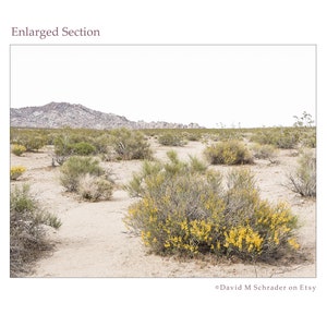 May include: A photograph of a desert scene with scrubby bushes and yellow flowers, a rocky outcrop in the distance, and a bright white sky. The image includes the text "Enlarged Section" and "David M Schrader on Etsy".