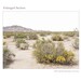 Set of 3 Desert Landscape Prints Set of Three Prints Desert Landscape ...