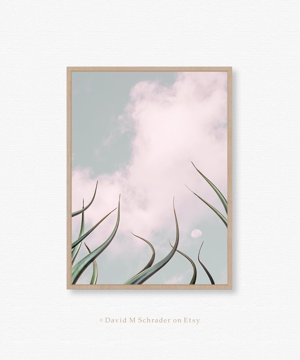 Agave Printable Art Agave Print Succulent Print Cactus Wall - Etsy