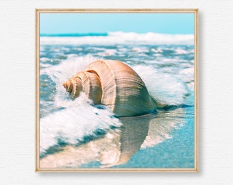 Sea Shell Printable, Sea Shell Download, Sea Shell Photo, Sea Shell Print, Sea Shell Art, Seashell Printable, Seashell Download,Sea Life Art