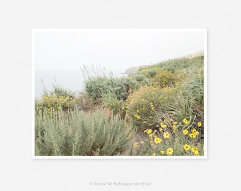 California flowers, Daisy print, Coastal flower print, Botanical printable, Daisy flower photo, Pacific coast flower, Minimalist seascape