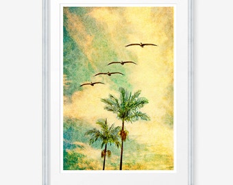 Palm Trees, Palm Tree Photo, Pelican Photo, Pelican Photograph, Pelican Print, Pelican Art, Palm Trees Art, Retro Art, Palm Tree Photography
