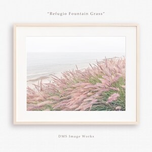 Seascape flower print, California coast photograph, Fountain grass photo, Minimalist botanical wall art