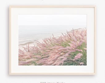 Seascape flower print, California coast photograph, Fountain grass photo, Minimalist botanical wall art