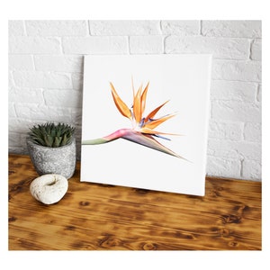 May include: A white canvas print featuring a close-up of a vibrant orange and blue bird of paradise flower.