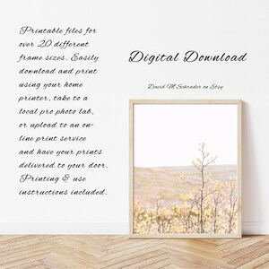 K&ouml;nnte beinhalten: Ein digitaler Download eines Fotos eines Feldes mit hohem Gras und einer einzelnen Pflanze in der Mitte. Das Foto ist in einem hellbraunen Rahmen und h&auml;ngt an einer wei&szlig;en Wand. Der Text "Digitaler Download" und "David M Schrader auf Etsy" ist unterhalb des Rahmens sichtbar.