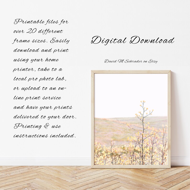 K&ouml;nnte beinhalten: Ein digitaler Download eines Fotos eines Feldes mit hohem Gras und einer einzelnen Pflanze in der Mitte. Das Foto ist in einem hellbraunen Rahmen und h&auml;ngt an einer wei&szlig;en Wand. Der Text "Digitaler Download" und "David M Schrader auf Etsy" ist unterhalb des Rahmens sichtbar.