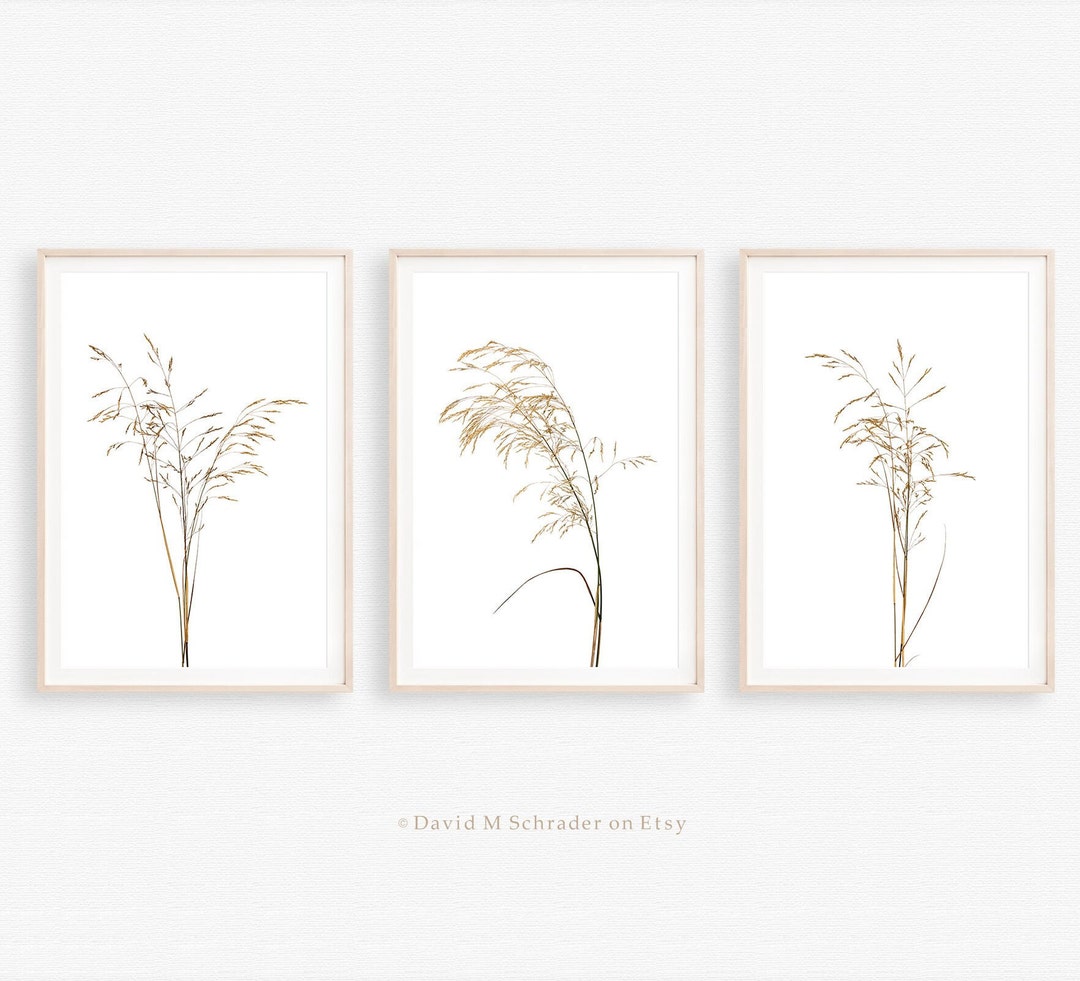Set of 3 Prints, Plant Art Triptych, Farmhouse Printable, Botanical Art ...