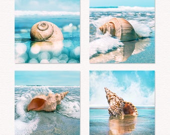 seashell print set, seashell photo, seashell photography, seashell prints, seashell art, seashell decor, seashells decor, sea shell print
