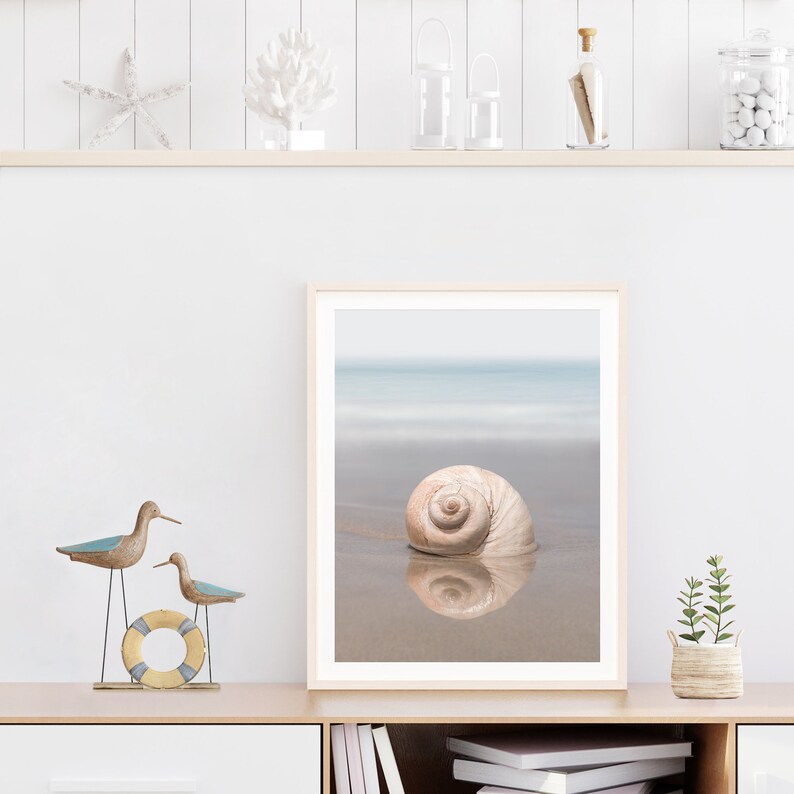 Seashell Printable, Shell Print, Seashell Photo, Shell Photograph ...