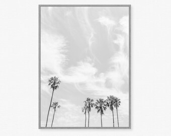 Fotografía de palmeras en blanco y negro, Palmeras imprimibles, Arte de pared tropical, Palmera de California, Arte minimalista de playa, Botánico de playa