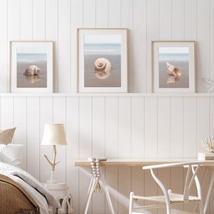 Set of 3 Shell Prints, Shell Print Set, Seashell Print Set, Shell ...