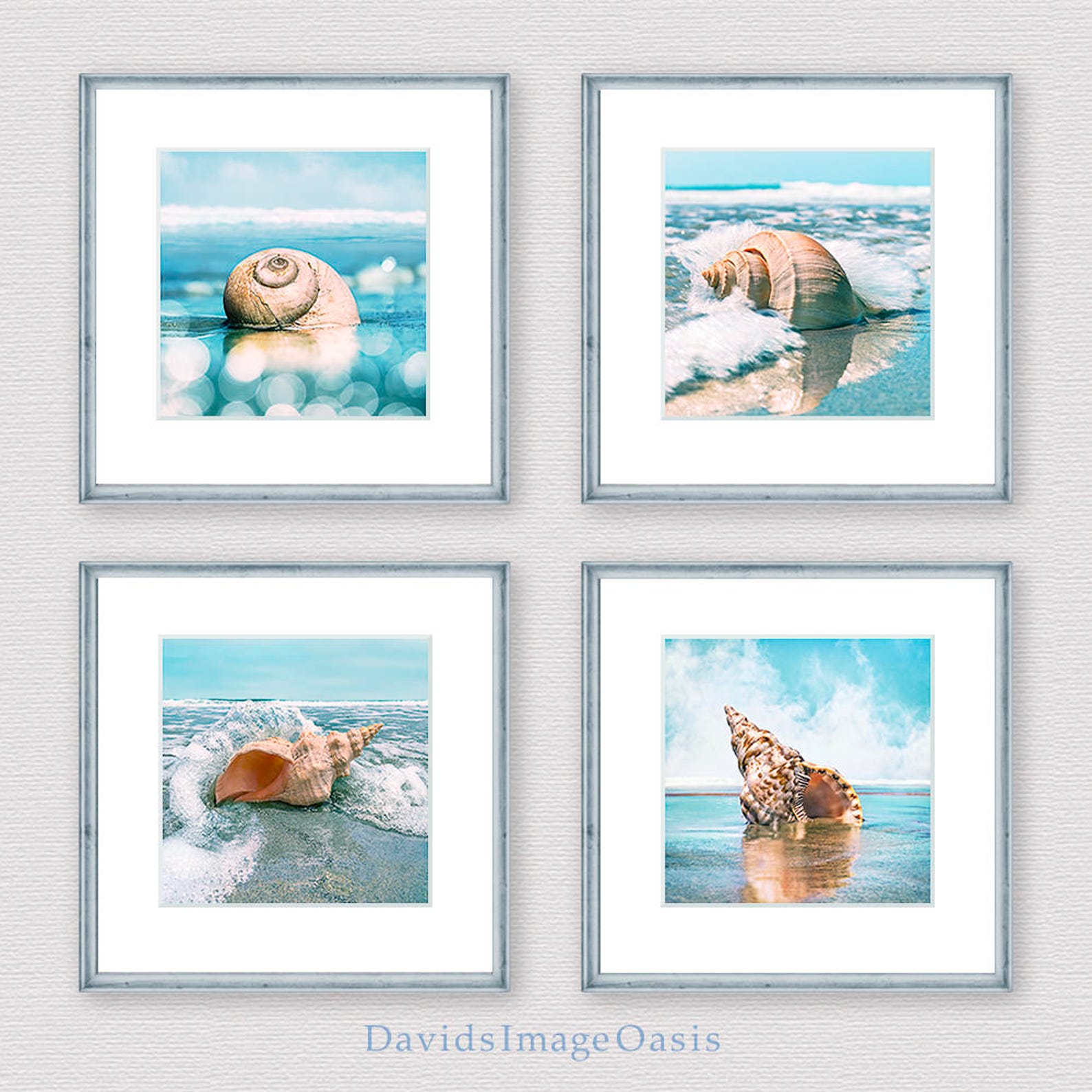 Seashell Print Set, Seashell Photo, Seashell Photography, Seashell ...