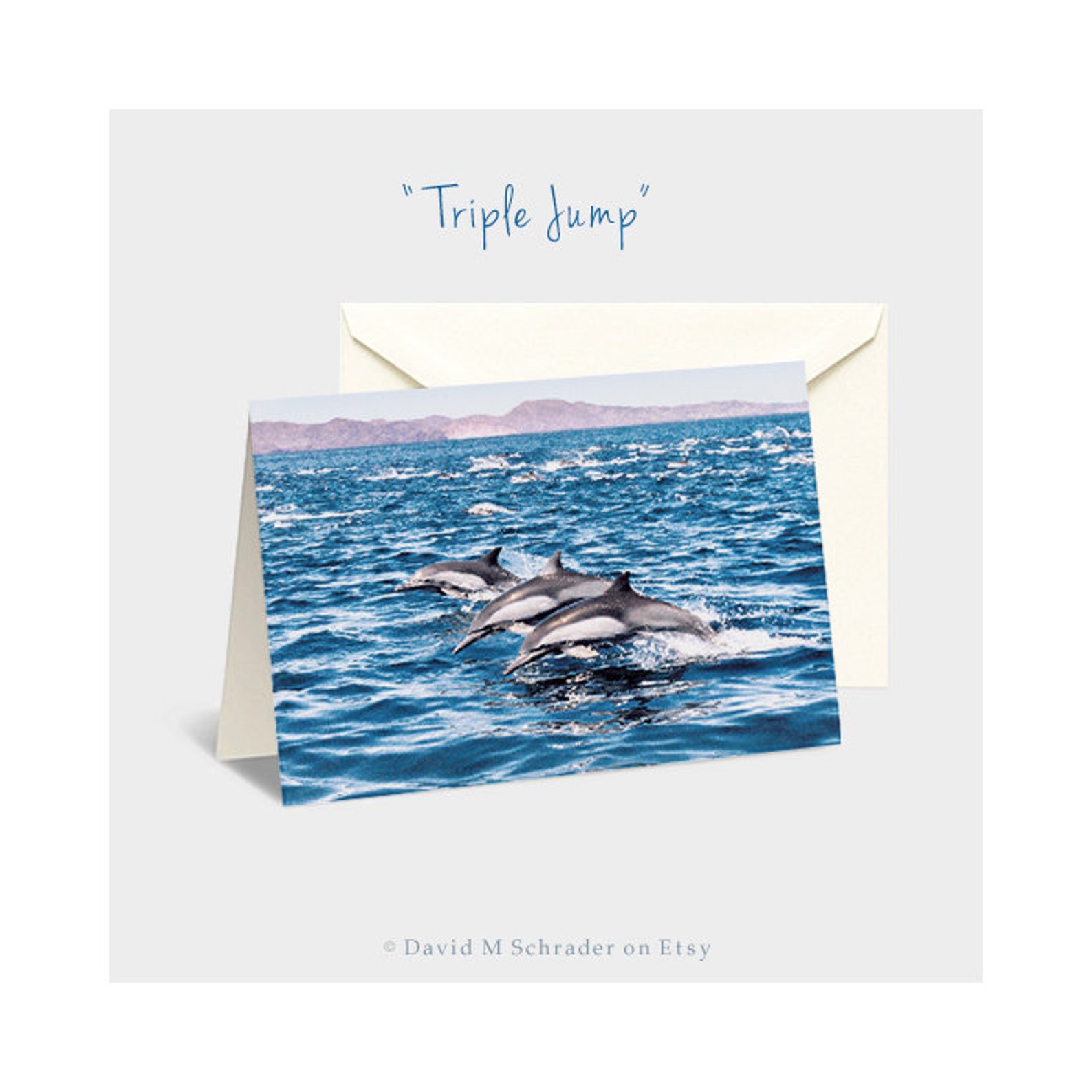 Set of 10 Dolphin note cards Dolphin notecards Underwater Etsy
