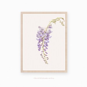 May include: A print of a single stem of wisteria flowers with light purple blooms hanging down against a white background. The print is framed with a light brown frame.