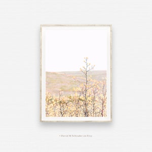 K&ouml;nnte beinhalten: Ein Foto von einem Feld mit gelben Wildblumen, in dessen Mitte ein einzelner, hoher Wildblumenst&auml;ngel steht. Der Hintergrund ist ein weiches, nebliges Blau.