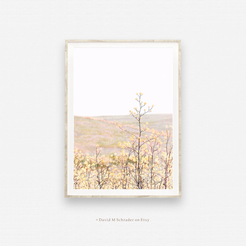 K&ouml;nnte beinhalten: Ein Foto von einem Feld mit gelben Wildblumen, in dessen Mitte ein einzelner, hoher Wildblumenst&auml;ngel steht. Der Hintergrund ist ein weiches, nebliges Blau.