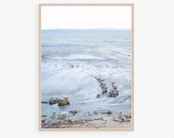 Pelican seascape art, California seascape, Ocean waves print, Wave photography, Surf printable, Sea digital download, Rocky coastline print