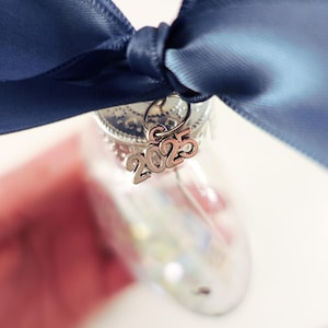 Was the statue of liberty a christmas gift