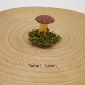 Tiny fairy garden mushroom, brown mini mushroom with moss, handmade dollhouse miniatures image 1