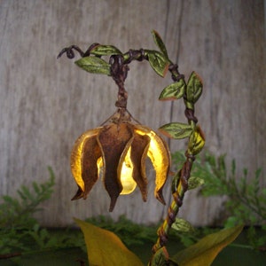 Lanterne de fée éclairée à la main pour exposer un jardin de fées miniature image 3