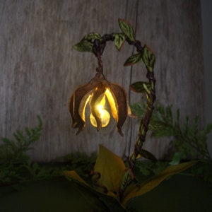 Lanterne de fée éclairée à la main pour exposer un jardin de fées miniature image 4