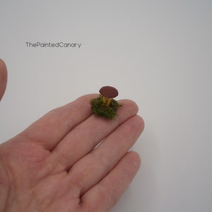 Tiny fairy garden mushroom, brown mini mushroom with moss, handmade dollhouse miniatures image 8