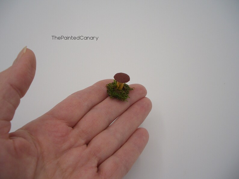 Tiny fairy garden mushroom, brown mini mushroom with moss, handmade dollhouse miniatures image 8