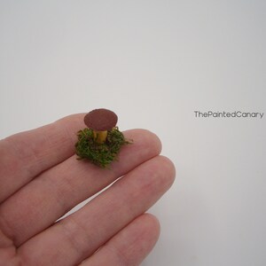 Tiny fairy garden mushroom, brown mini mushroom with moss, handmade dollhouse miniatures image 6