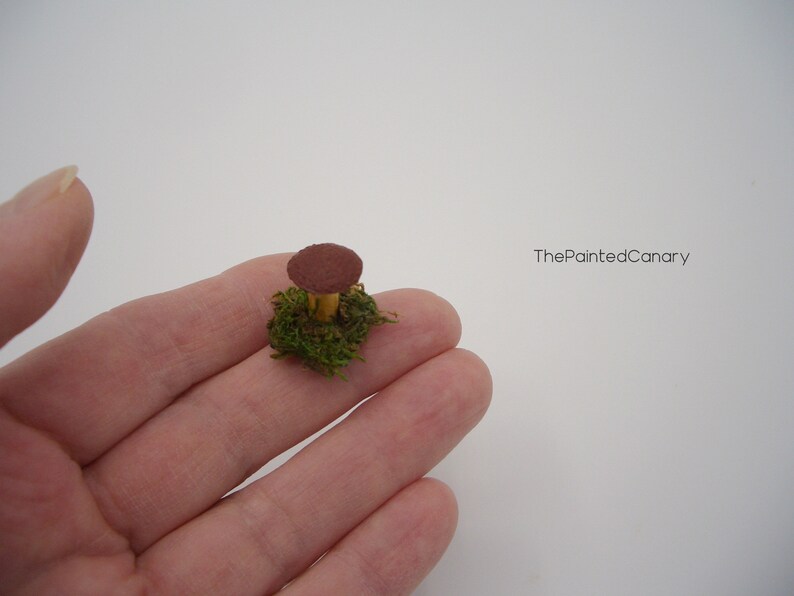 Tiny fairy garden mushroom, brown mini mushroom with moss, handmade dollhouse miniatures image 6