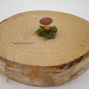 Tiny fairy garden mushroom, brown mini mushroom with moss, handmade dollhouse miniatures image 2