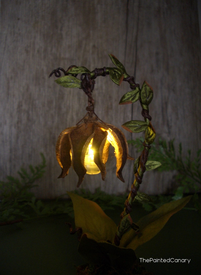 Lanterne de fée éclairée à la main pour exposer un jardin de fées miniature image 2