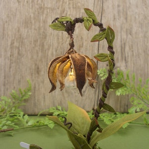 Lanterne de fée éclairée à la main pour exposer un jardin de fées miniature image 8