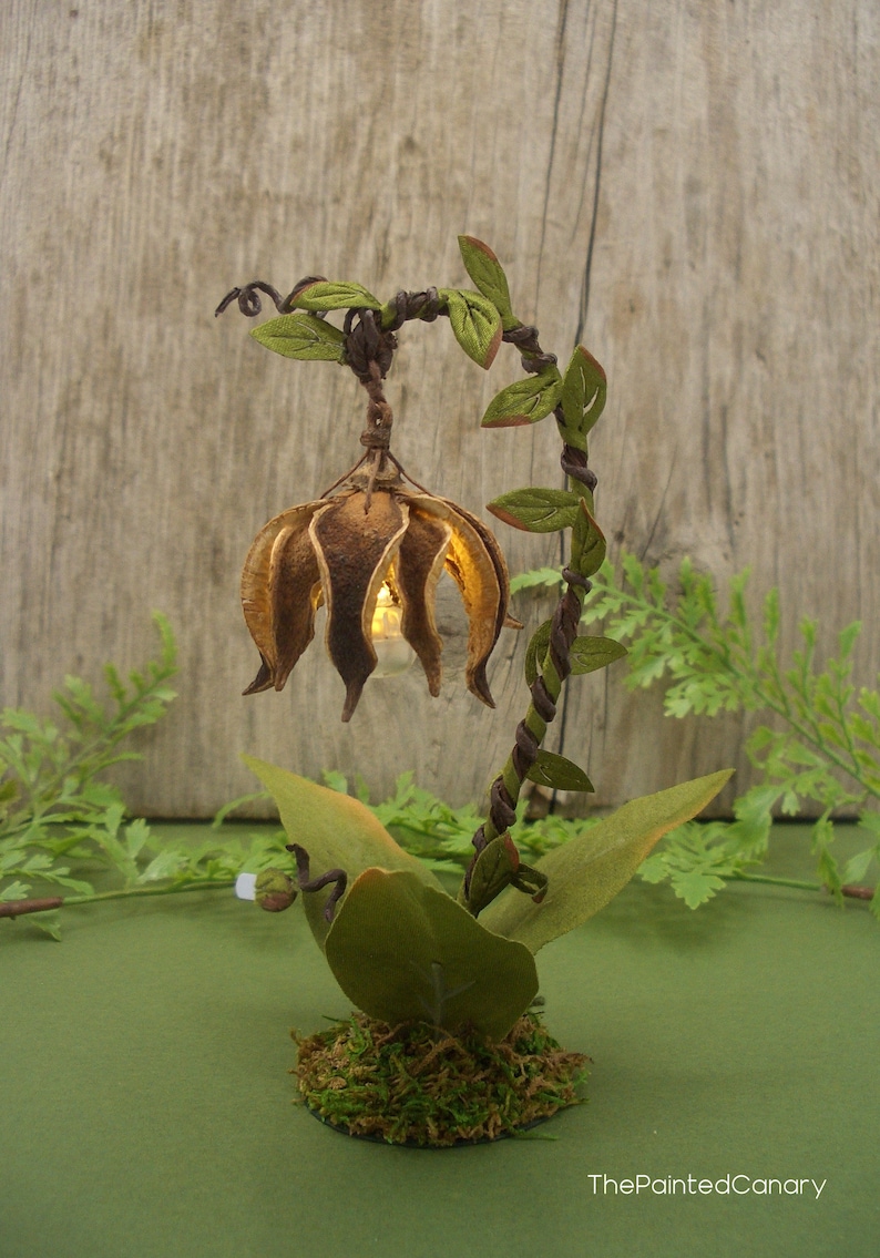Lanterne de fée éclairée à la main pour exposer un jardin de fées miniature image 7