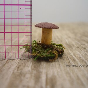 Tiny fairy garden mushroom, brown mini mushroom with moss, handmade dollhouse miniatures image 7