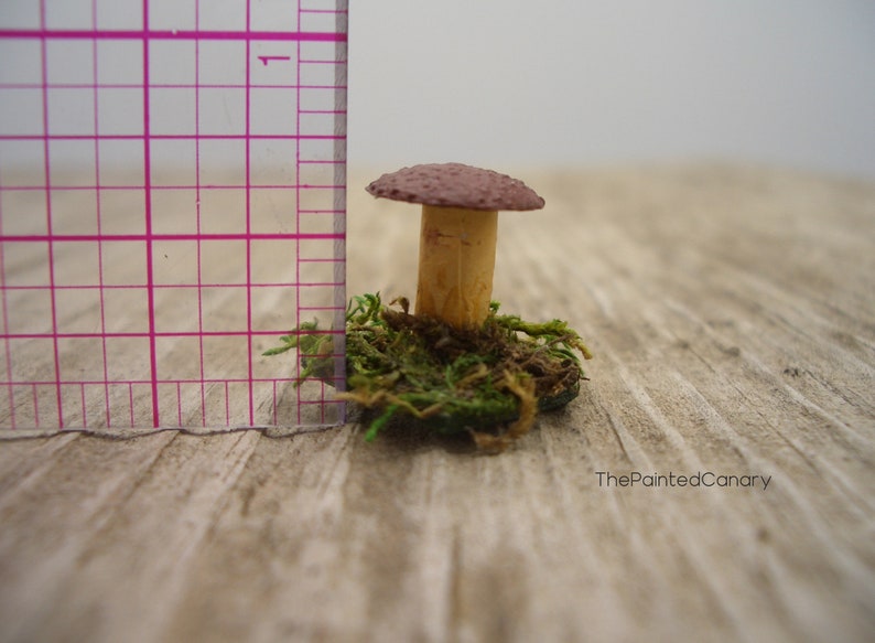 Tiny fairy garden mushroom, brown mini mushroom with moss, handmade dollhouse miniatures image 7