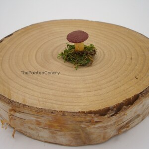 Tiny fairy garden mushroom, brown mini mushroom with moss, handmade dollhouse miniatures image 4