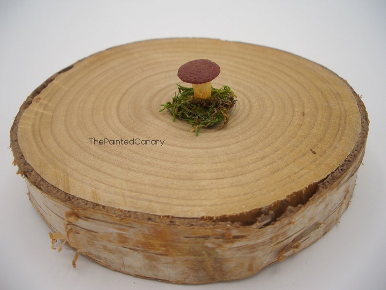 Tiny fairy garden mushroom, brown mini mushroom with moss, handmade dollhouse miniatures image 4