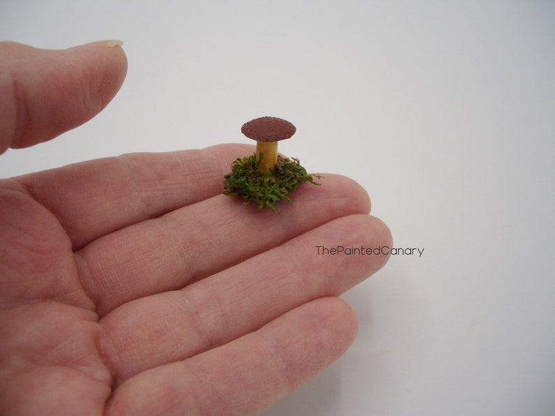 Tiny fairy garden mushroom, brown mini mushroom with moss, handmade dollhouse miniatures image 5